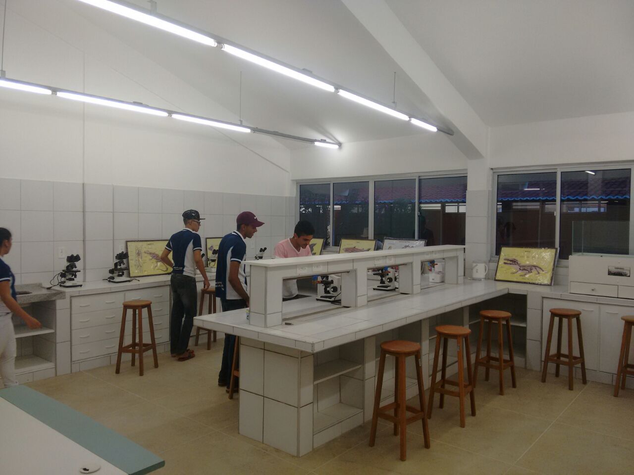 lab
